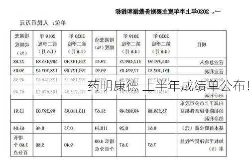 药明康德 上半年成绩单公布！