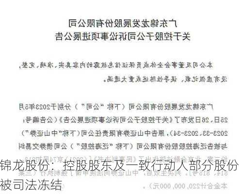 锦龙股份：控股股东及一致行动人部分股份被司法冻结