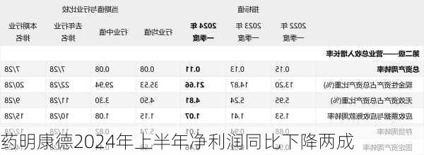 药明康德2024年上半年净利润同比下降两成