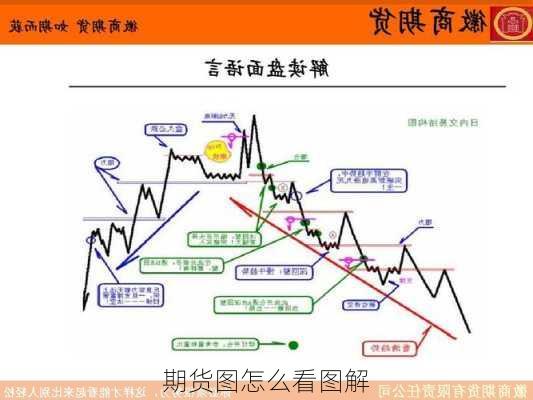 期货图怎么看图解