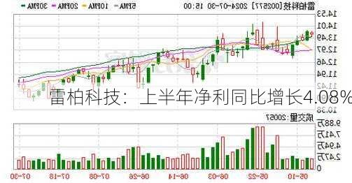 雷柏科技：上半年净利同比增长4.08%