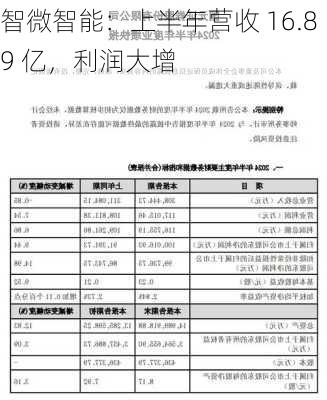 智微智能：上半年营收 16.89 亿，利润大增