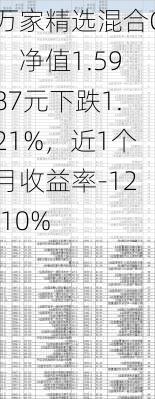 万家精选混合C：净值1.5987元下跌1.21%，近1个月收益率-12.10%