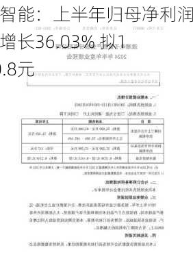 智微智能：上半年归母净利润同比增长36.03% 拟10派0.8元