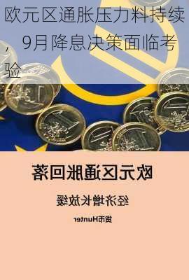 欧元区通胀压力料持续，9月降息决策面临考验