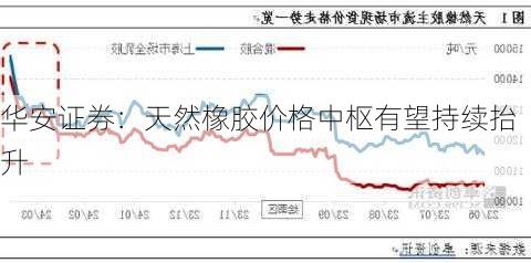 华安证券：天然橡胶价格中枢有望持续抬升