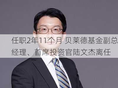 任职2年11个月 贝莱德基金副总经理、首席投资官陆文杰离任