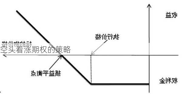 空头看涨期权的策略