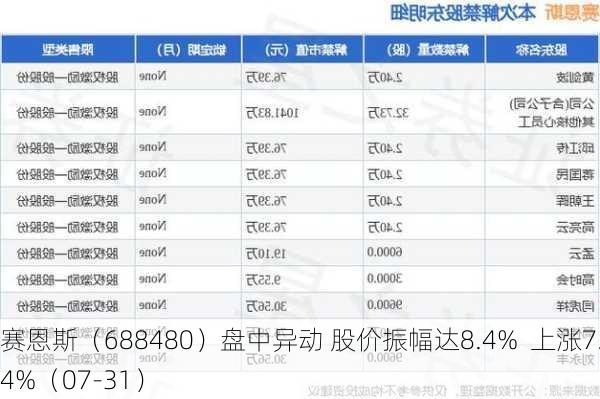 赛恩斯（688480）盘中异动 股价振幅达8.4%  上涨7.04%（07-31）