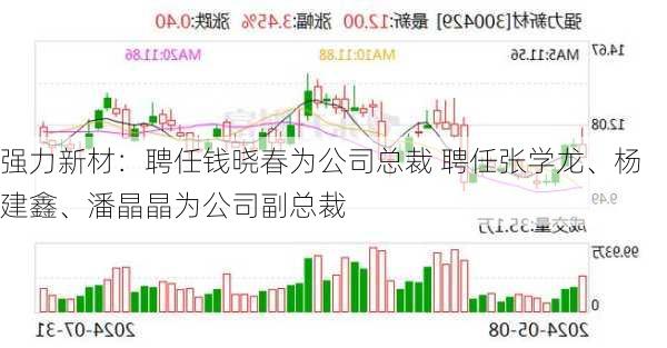 强力新材：聘任钱晓春为公司总裁 聘任张学龙、杨建鑫、潘晶晶为公司副总裁