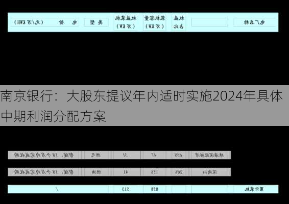 南京银行：大股东提议年内适时实施2024年具体中期利润分配方案