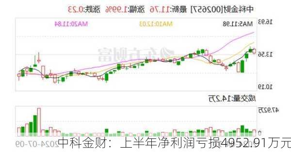 中科金财：上半年净利润亏损4952.91万元