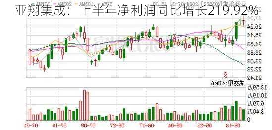 亚翔集成：上半年净利润同比增长219.92%