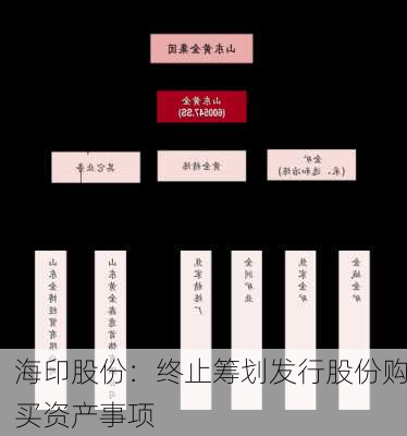 海印股份：终止筹划发行股份购买资产事项