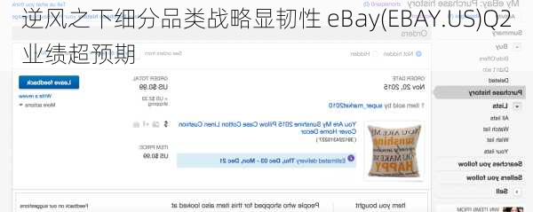 逆风之下细分品类战略显韧性 eBay(EBAY.US)Q2业绩超预期