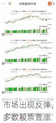 市场出现反弹，多数股票普涨