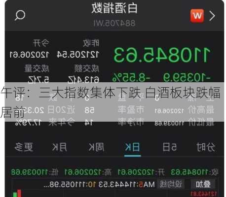 午评：三大指数集体下跌 白酒板块跌幅居前