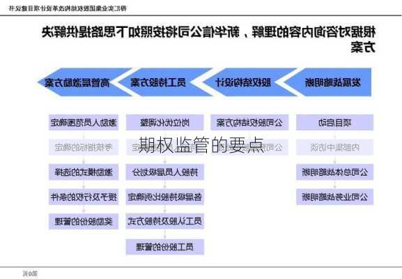 期权监管的要点