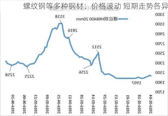 螺纹钢等多种钢材：价格波动 短期走势各异