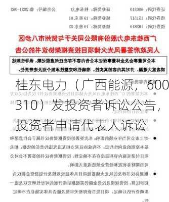 桂东电力（广西能源，600310）发投资者诉讼公告，投资者申请代表人诉讼