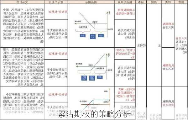 累沽期权的策略分析