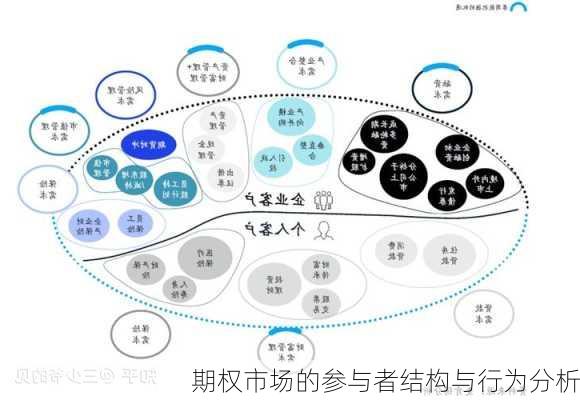 期权市场的参与者结构与行为分析