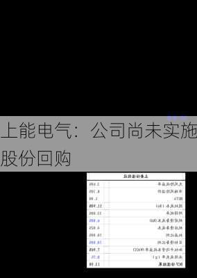 上能电气：公司尚未实施股份回购