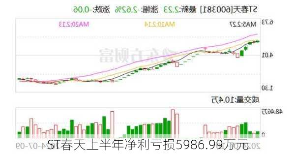 ST春天上半年净利亏损5986.99万元