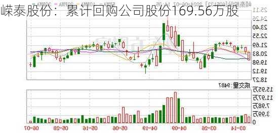 嵘泰股份：累计回购公司股份169.56万股