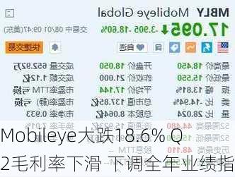 Mobileye大跌18.6% Q2毛利率下滑 下调全年业绩指引