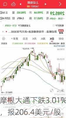 摩根大通下跌3.01%，报206.4美元/股