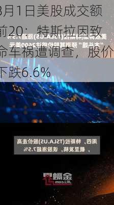 8月1日美股成交额前20：特斯拉因致命车祸遭调查，股价下跌6.6%