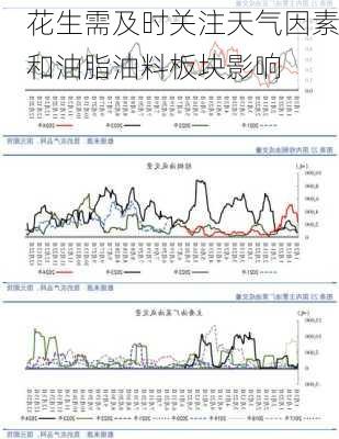 花生需及时关注天气因素和油脂油料板块影响