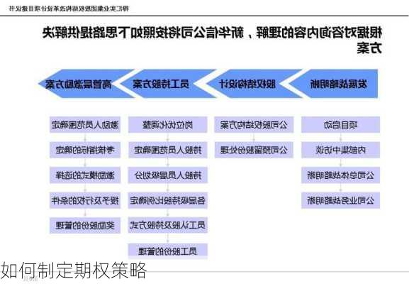 如何制定期权策略