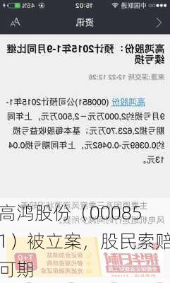 高鸿股份（000851）被立案，股民索赔可期