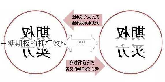 白糖期权的杠杆效应