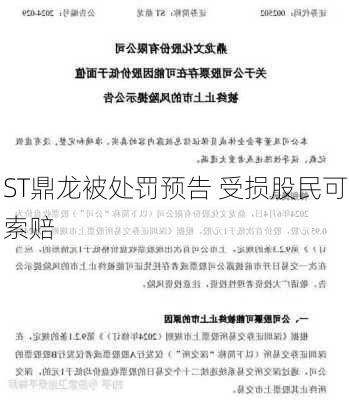 ST鼎龙被处罚预告 受损股民可索赔