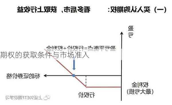 期权的获取条件与市场准入