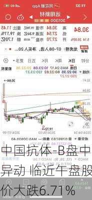 中国抗体-B盘中异动 临近午盘股价大跌6.71%