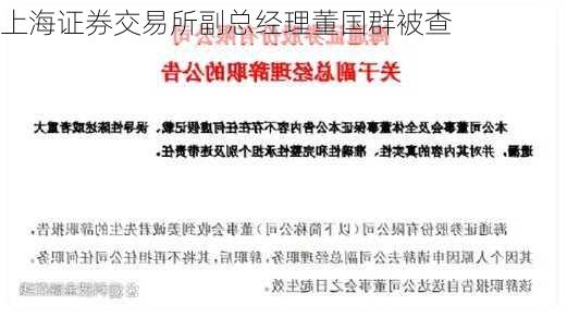 上海证券交易所副总经理董国群被查