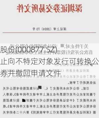 天山股份(000877.SZ)：终止向不特定对象发行可转换公司债券并撤回申请文件