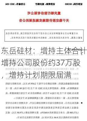 东岳硅材：增持主体合计增持公司股份约37万股，增持计划期限届满