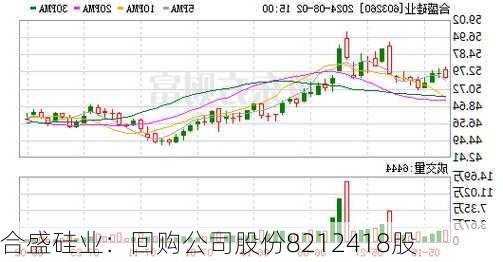 合盛硅业：回购公司股份8212418股