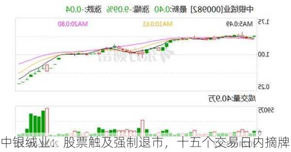 中银绒业：股票触及强制退市，十五个交易日内摘牌