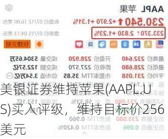 美银证券维持苹果(AAPL.US)买入评级，维持目标价256美元