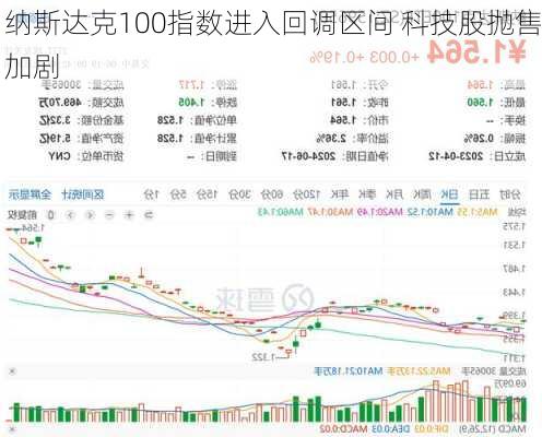 纳斯达克100指数进入回调区间 科技股抛售加剧