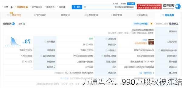 万通冯仑，990万股权被冻结