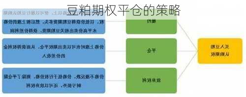 豆粕期权平仓的策略