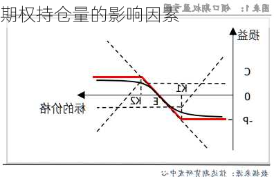 期权持仓量的影响因素