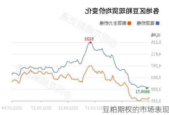 豆粕期权的市场表现